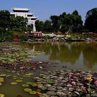 Garden water